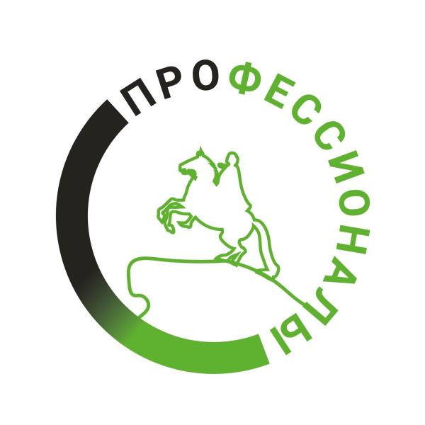 Второй день Регионального этапа Чемпионата профессионального мастерства "Профессионалы"