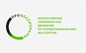 Региональный этап чемпионата «Профессионалы 2025»
